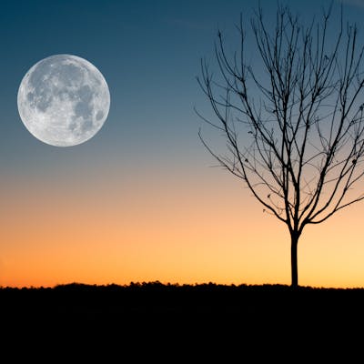 Убывающая Луна и рост волос — почему волосы растут медленнее 2026